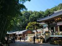 경남 양산 8경 중 하나 홍룡폭포로 come‼️