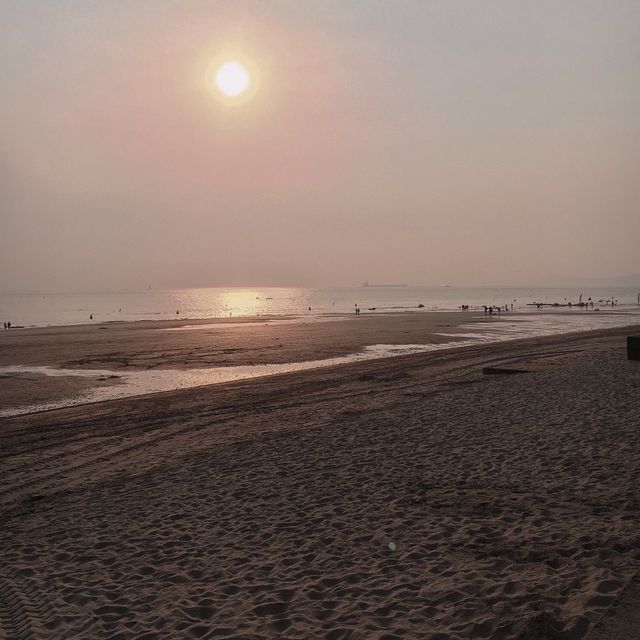 대천 해수욕장 🌊 