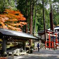 紅葉の飛騨高山の日枝神社