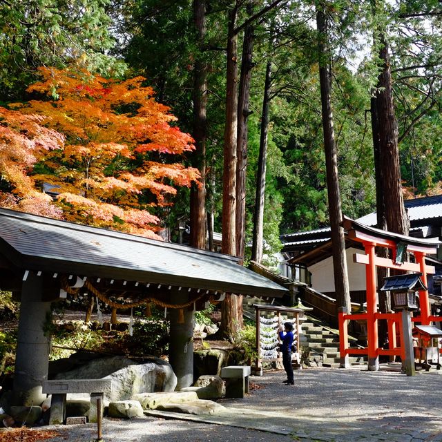紅葉の飛騨高山の日枝神社
