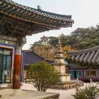 가을 단풍 여행 '울산 석남사'