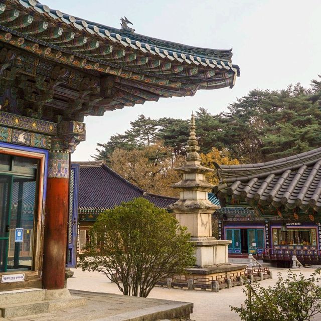 가을 단풍 여행 '울산 석남사'