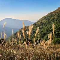 一期一會 大東山⛰🌾📷