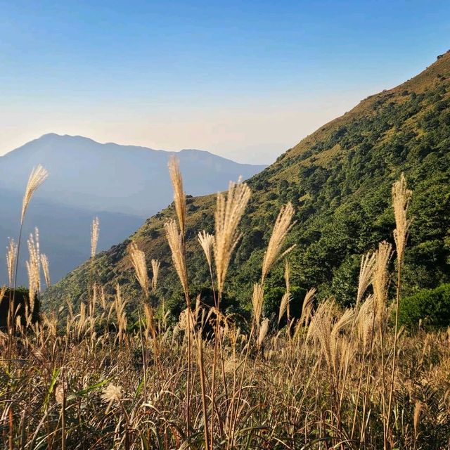 一期一會 大東山⛰🌾📷