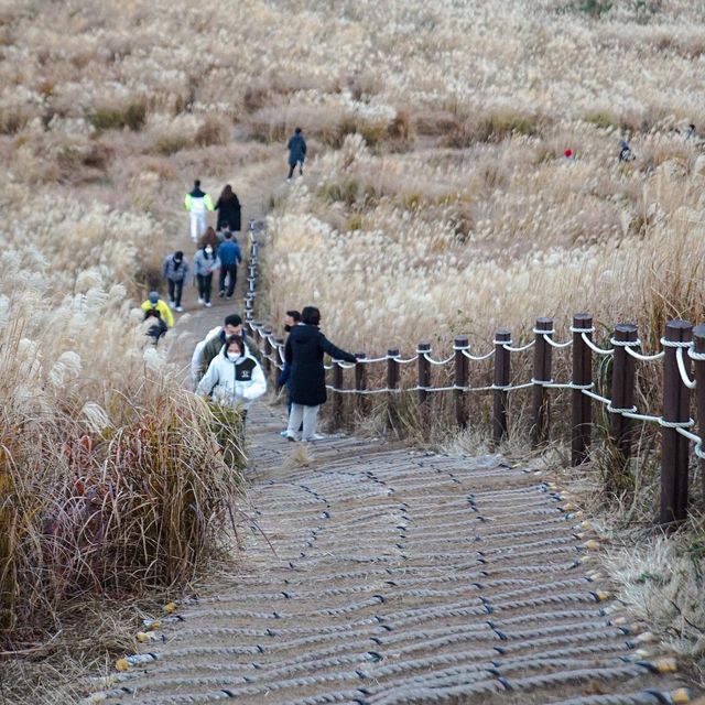 제주의 노을명소, 새별오름