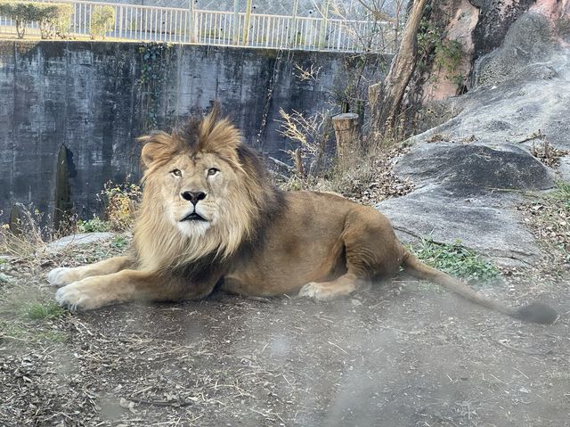 名古屋【東山動植物園】