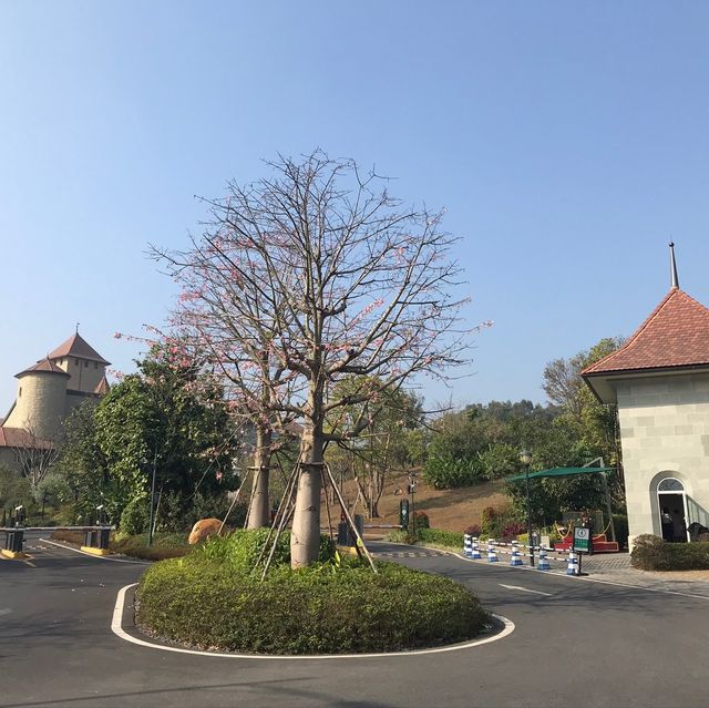 松山湖一片歐洲自然氣息