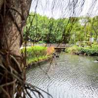 賞花攻略 蝴蝶灣公園
