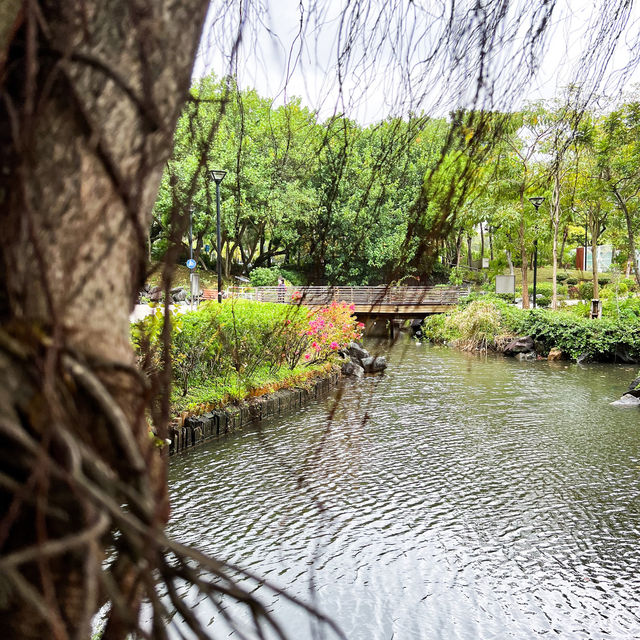 賞花攻略 蝴蝶灣公園