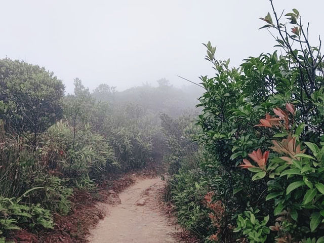 紅香爐峰
