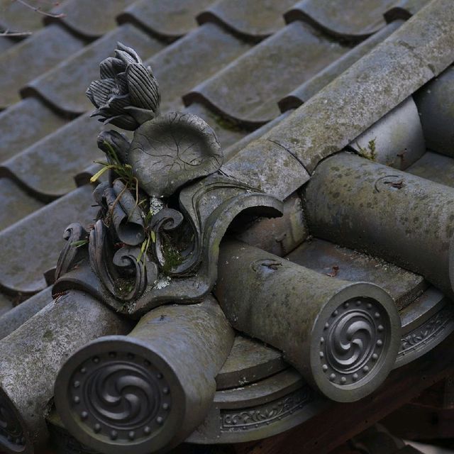 【兵庫 有馬温泉】見るべき桜🌸🌸🌸善福寺🌸🌸🌸