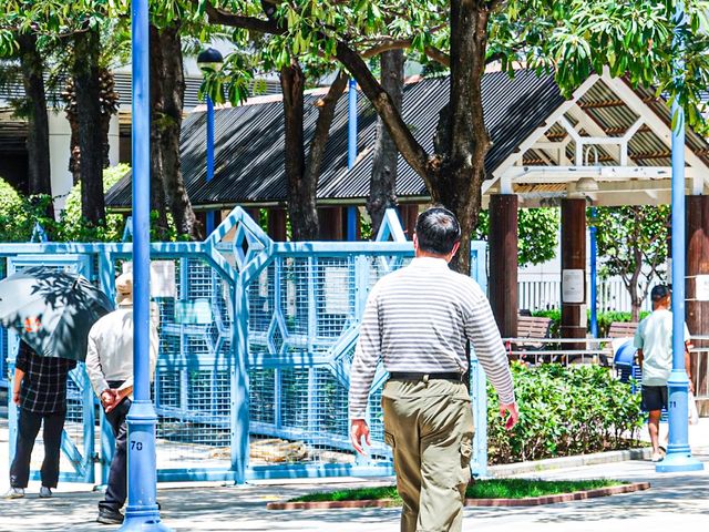 漫步人生 荃灣公園