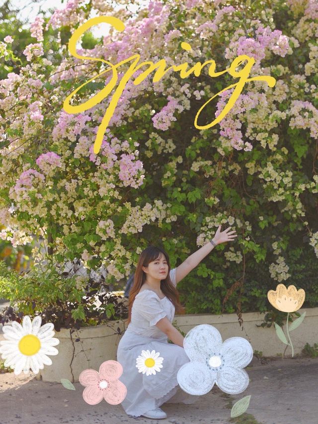 香港打卡|粉嶺隱世打卡 附路線攻略🌸🌿 香港打卡|粉嶺隱世打卡 附路線攻略🌸🌿