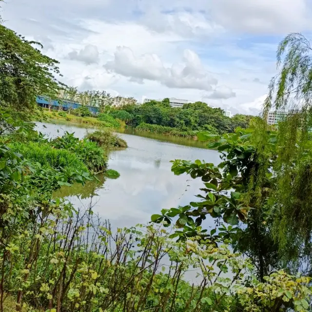 Nature & Lookout Point at Yishun Pond Park