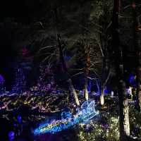 Christmas lights festival at the botanical gardens 