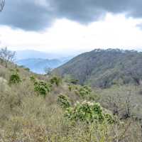 新緑の相模湾を眺めつつの登山