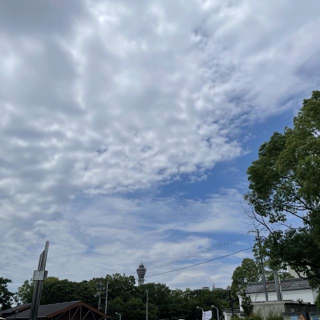 【大阪府】てんしばをぶらり散策