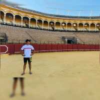 The bullring of Real Maestranza de Caballería
