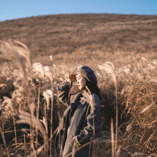 제주 오름 여행 * 새별오름