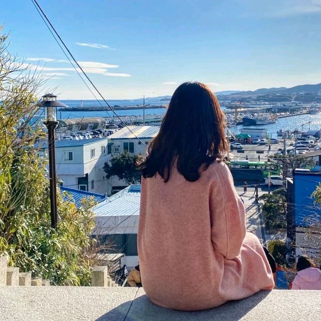 동백꽃 필무렵 촬영지 "구룡포 일본인 가옥거리" 