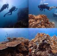 ไปเรียนดำน้ำ OPEN WATER ที่เกาะเต่ากัน🐢