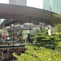 船面專門店‼️Central World大排長龍人氣店Thongsmith 