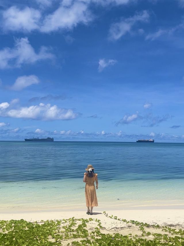 물빛이 아름다운 마이크로 비치🌊