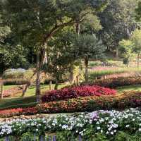 สวนแม่ฟ้าหลวง พิกัดเชียงราย