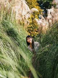 태안 가을 필수 여행지🌾