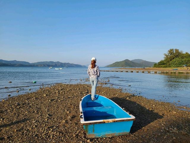 【CP值最高的紅樹林~泥涌🌴】