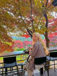 화담숲근처 숲속카페☕️