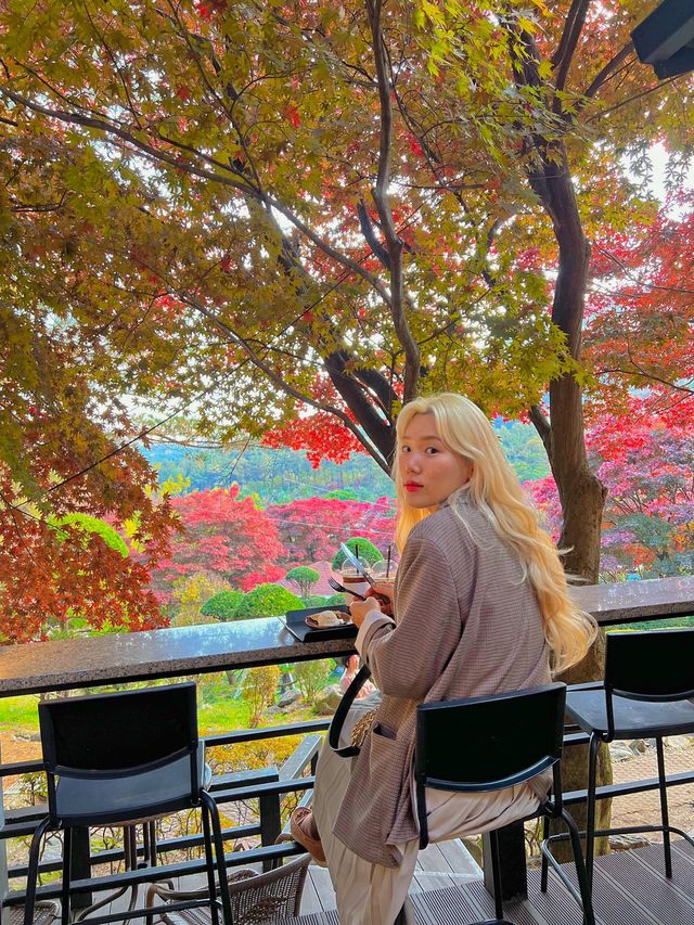 화담숲근처 숲속카페☕️
