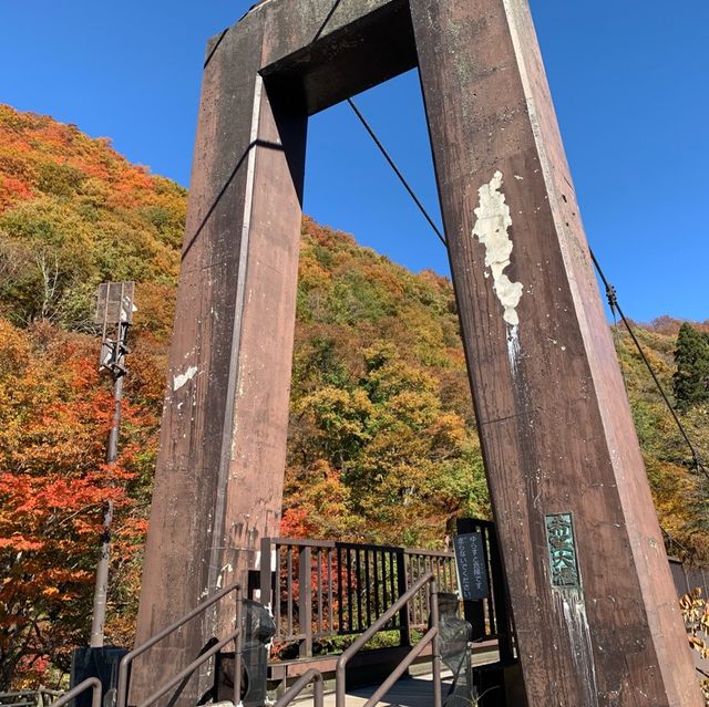 大源太キャニオンで自然を満喫👍