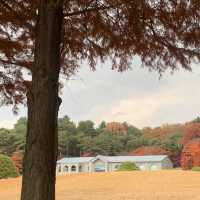 청주의 단풍 명소 청남대🍁