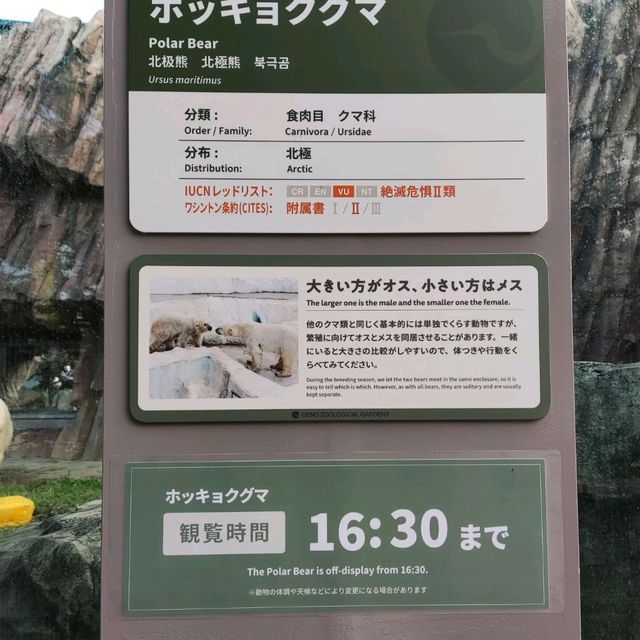 Not Just Animals, Ueno Zoo in Tokyo