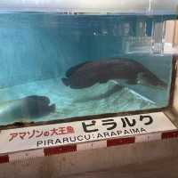 白池地獄〜大分•別府