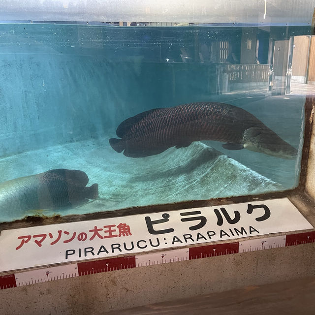 白池地獄〜大分•別府