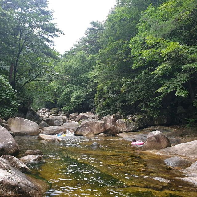 무릉계곡 