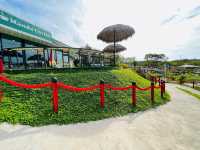 มารดา แลนด์ ตราด
