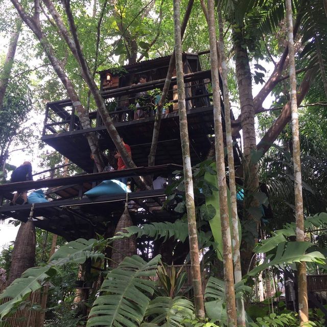 บ้านต้นไม้ คาเฟ่ กระบี่ baan ton mai cafe' krabi