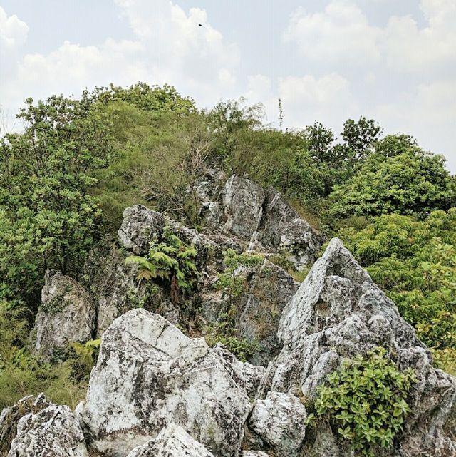 The Longest Quartz Ridge in the World