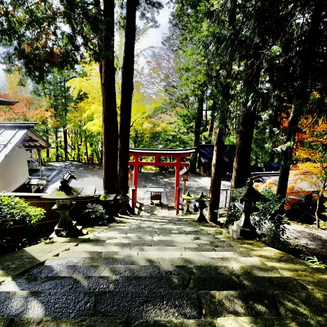 紅葉の飛騨高山の日枝神社