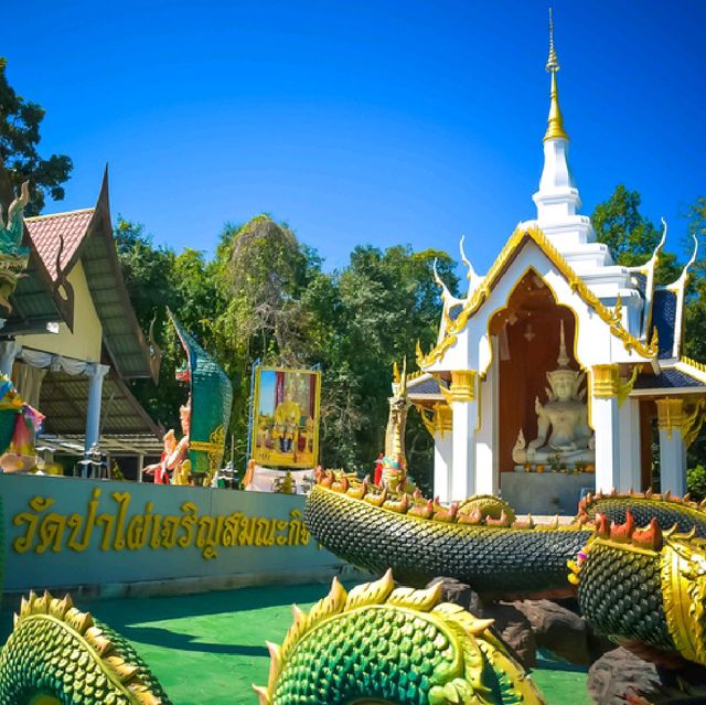 วัดป่าไผ่เจริญสมณะกิจ