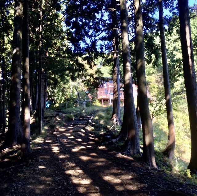大倉尾根の山小屋