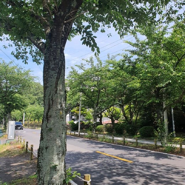 제주 한라수목원 근처 맛집, 담아래 🌳