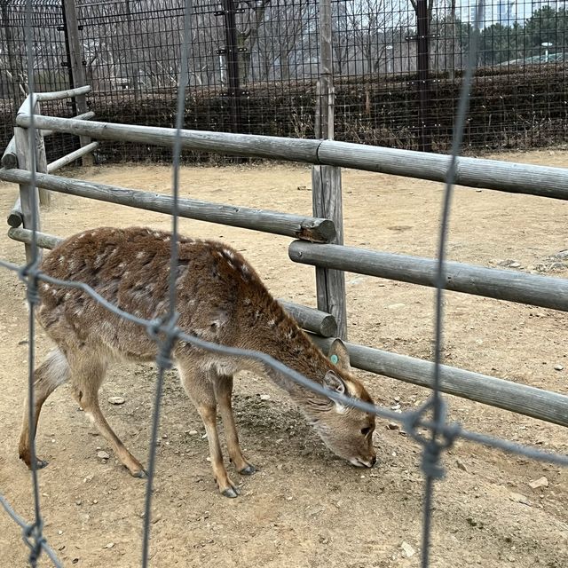 송도 센트럴파크에서 산책하면서 보트타기