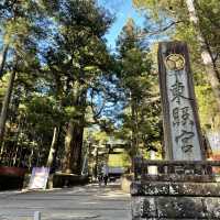 【栃木】堂者引きに案内してもらう「日光東照宮」