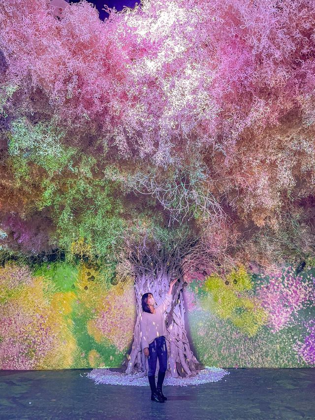 서울 인생샷 찍기 좋은 전시회🌷