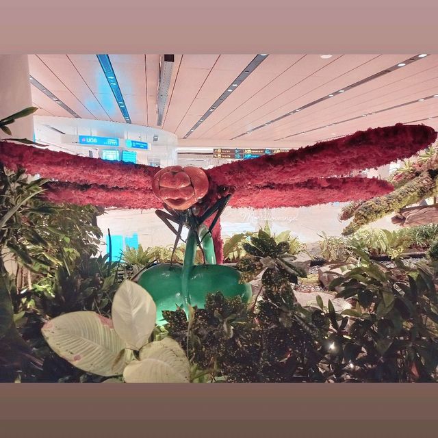 Nature Wonder @ T1 Changi