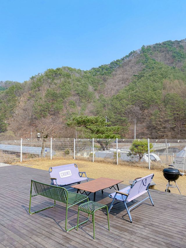 독채 펜션에서 반려견과 함께 힐링하기